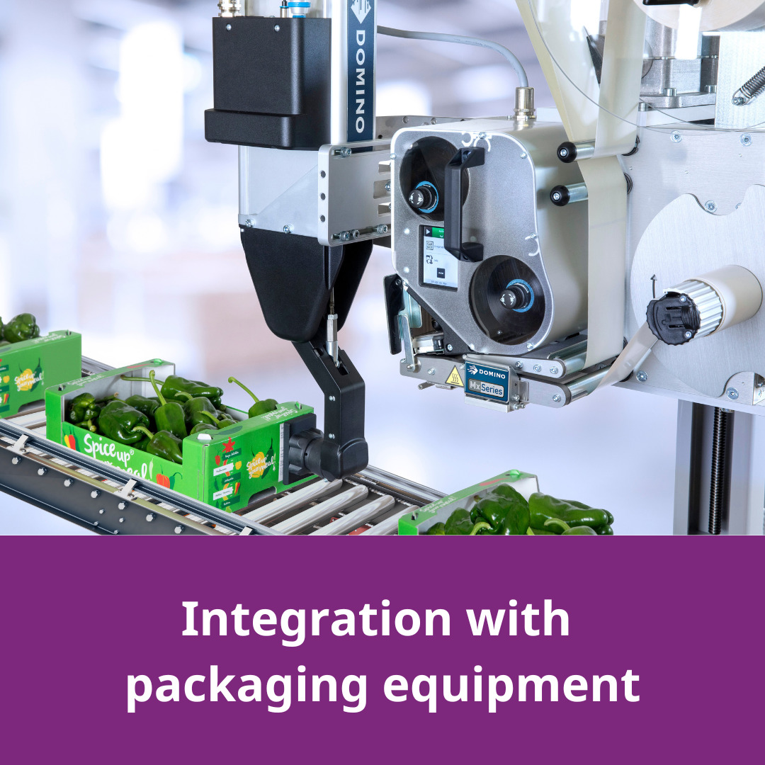 Your paragraph text (17)